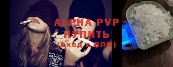 стаф Дмитров