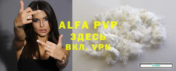стаф Дмитров