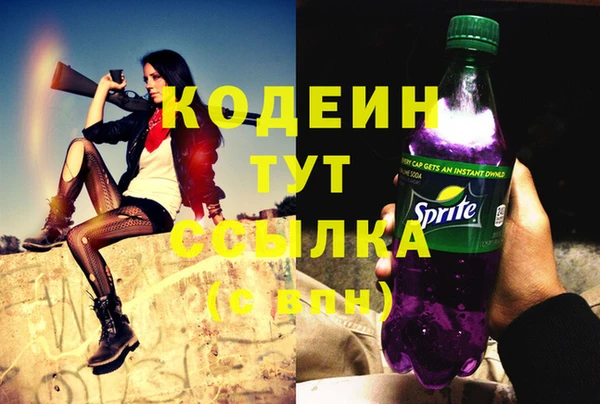 стаф Дмитров