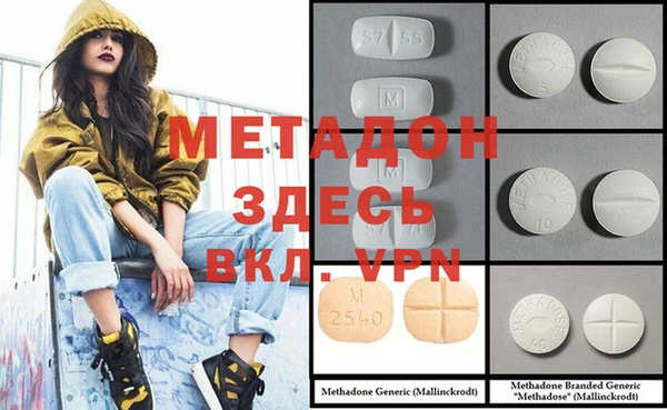 стаф Дмитров
