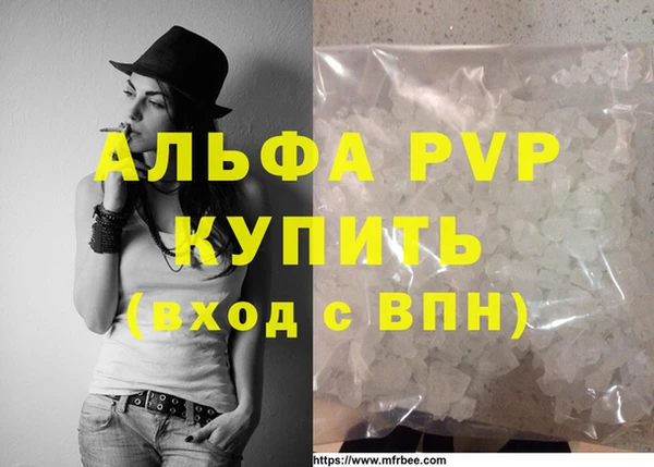 стаф Дмитров