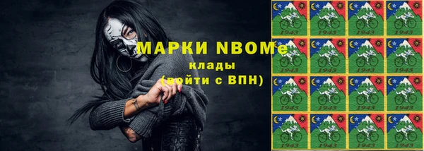 стаф Дмитров