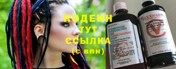 стаф Дмитров